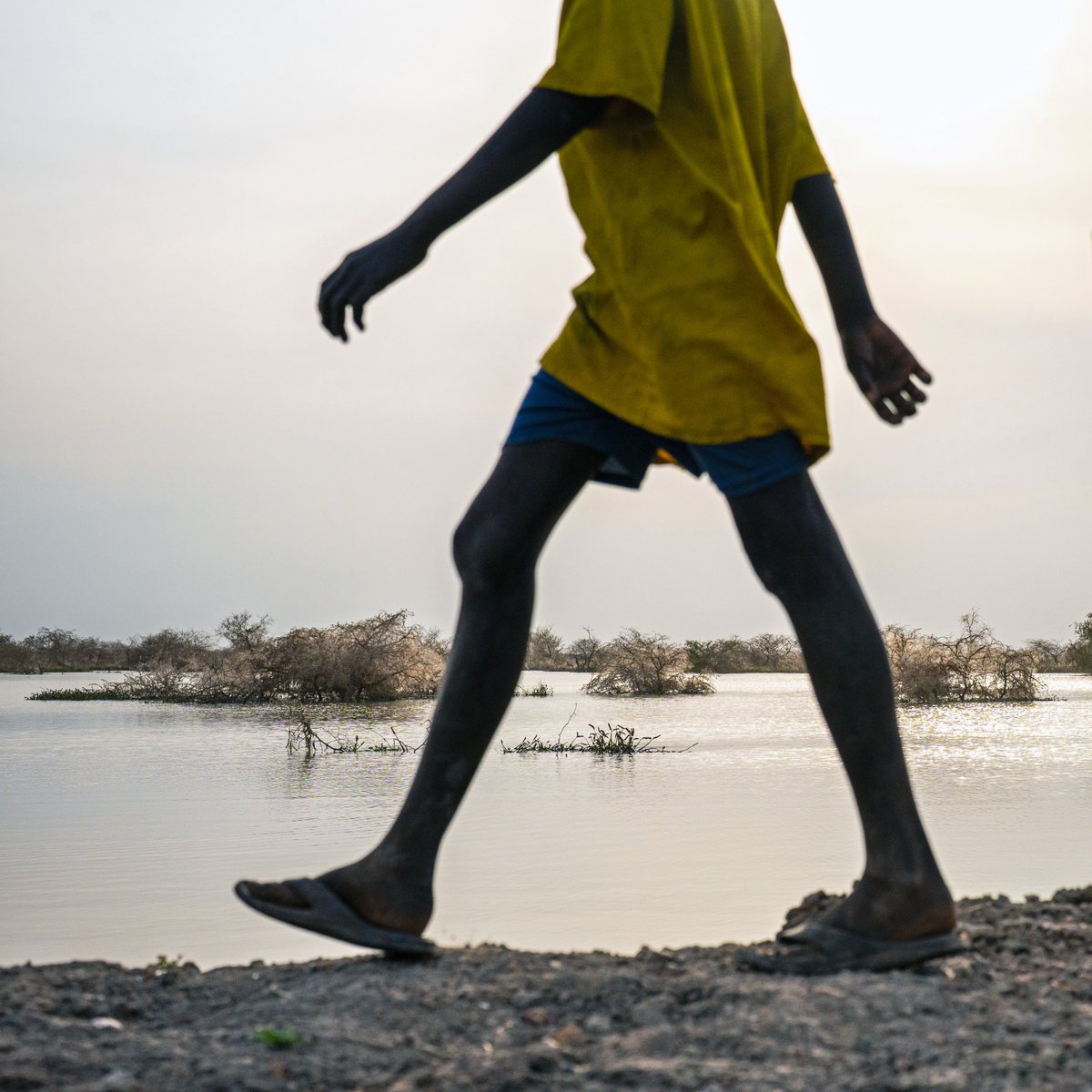 #Flooding Water scarcity Heatwaves Vector-borne diseases Every child has been exposed to at least one of these #climate disasters. We must protect children and the services they rely on. #SSOT
