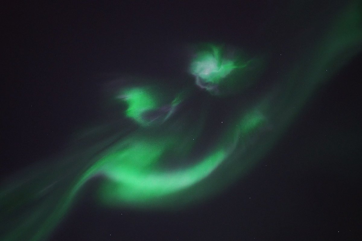 Mia Stålnacke tweet media