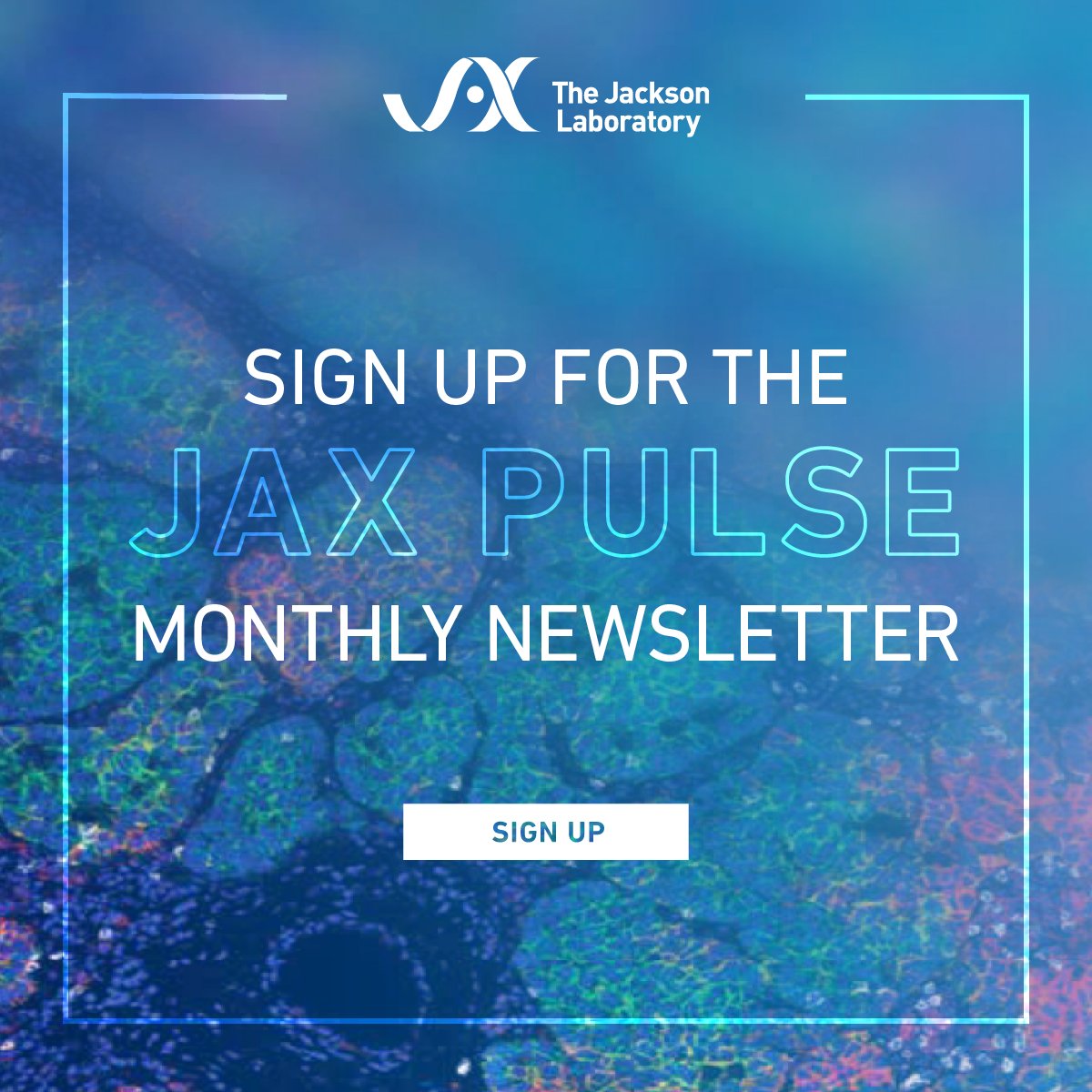What is JAX Pulse? It's a monthly newsletter from JAX® Mice, Clinical and Research Services, read by over 10,000 scientists! Join our community and stay informed about preclinical services, #mousemodels, upcoming webinars & more. Subscribe today! bit.ly/3vHaTzQ