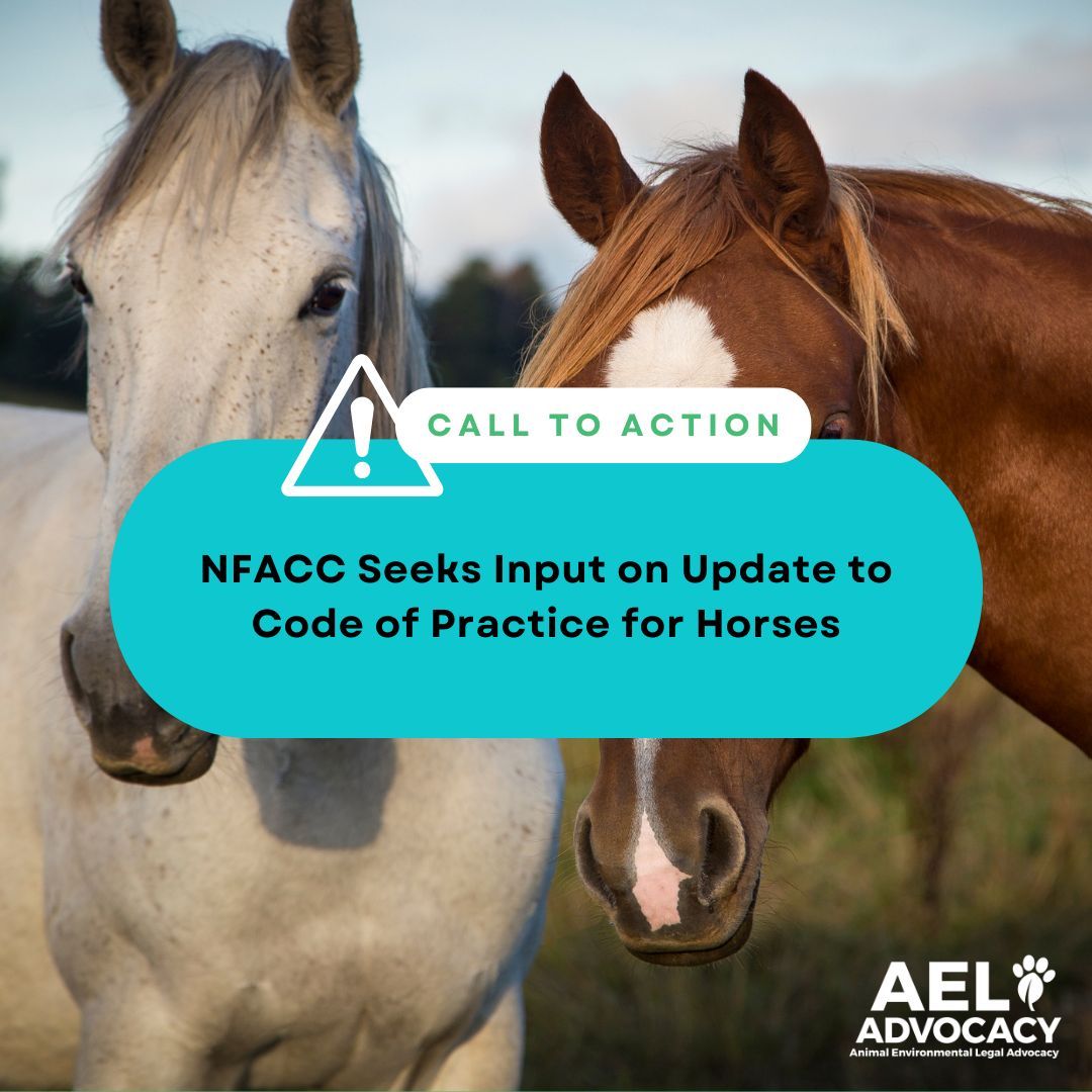 he National Farm Animal Care Council (NFACC) has launched a survey to gather top-of-mind concerns about the welfare of horses, ponies, donkeys, and other equines. 🐴 The results will inform updates to the 2013 Code of Practice for the Care and Handling of Equines. Link in bio.