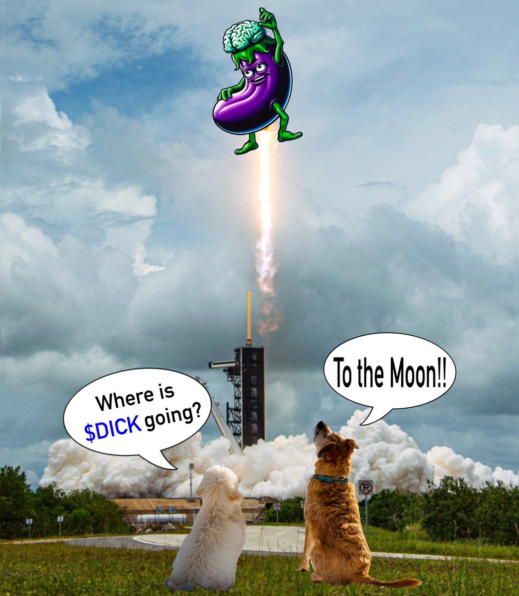 The Meme Contest winners are here!🔥

Huge congrats to <a href="/brad/">Brad Marxkors (Smith)</a>, <a href="/160kgbench/">lool</a>, <a href="/pvmihalache/">PVM / Noya</a>, and <a href="/Tiki_tatau/">Tikitattoo</a>!

Let's conquer <a href="/base/">Base</a> with the highest quality memes they've ever seen.

Stay hard!🍆