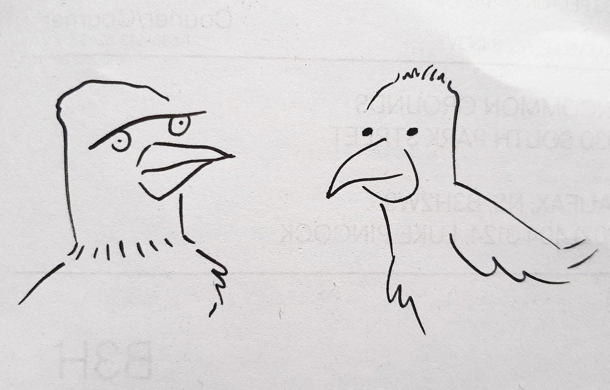 Dode & Zankie, just a couple average birds thinking standard bird thoughts.  #SketchADoodle