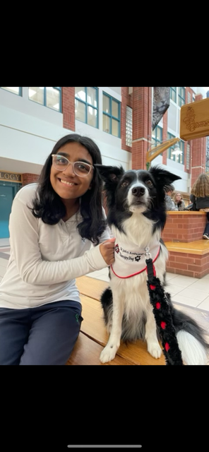 Christ The King SS (@ctkhh) on Twitter photo CTK Welcomes St. John Ambulance Therapy Dog, Raven
<a href="/CtKHH/">Christ The King SS</a> <a href="/HCDSB/">Halton Catholic DSB</a> CTK Welcomes St. John Ambulance Therapy Dog, Raven
<a href="/CtKHH/">Christ The King SS</a> <a href="/HCDSB/">Halton Catholic DSB</a>