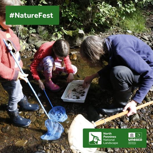 Discover the underwater life of a stream as we go #riverdipping with nets at Bowlees Visitor Centre on 28 May, 11-1. A #familyfriendly event to observe #nature & learn how to identify different species: northpennines.org.uk/.../beneath-th…
NorthPenninesNatureFest.org.uk #northpenninesnaturefest24