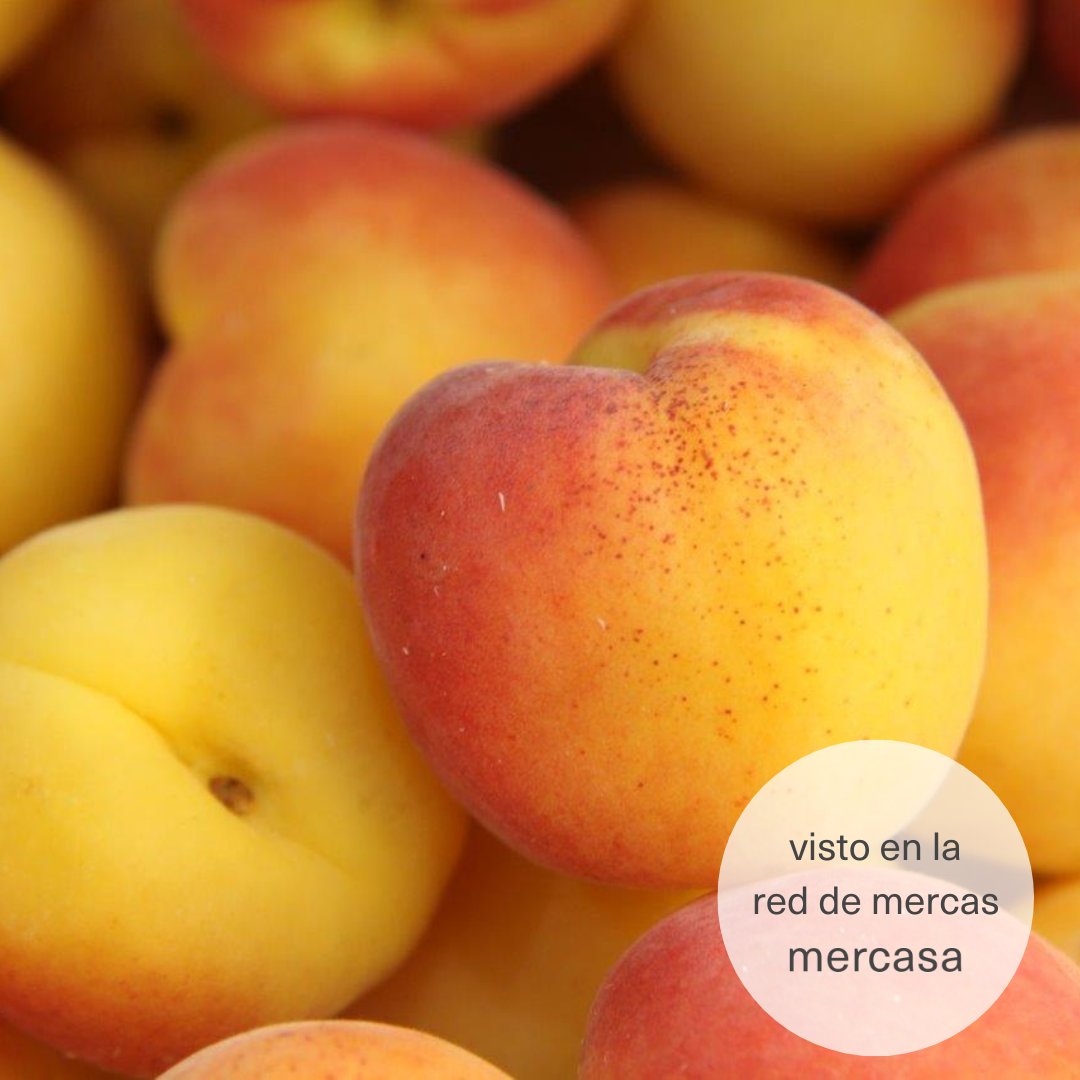 El calor llega 🌞 y las #frutahueso 🍑 empiezan a asomarse en las fruterías 🔝 Como estos #albaricoques 🍑 que ya hemos podido ver en la Red de #Mercas ¿Sabías que en 2023, la Red comercializó 22.300 toneladas? 👉 97% 🇪🇸 De suave textura y sabor dulce son ¡Irresistibles! 💓