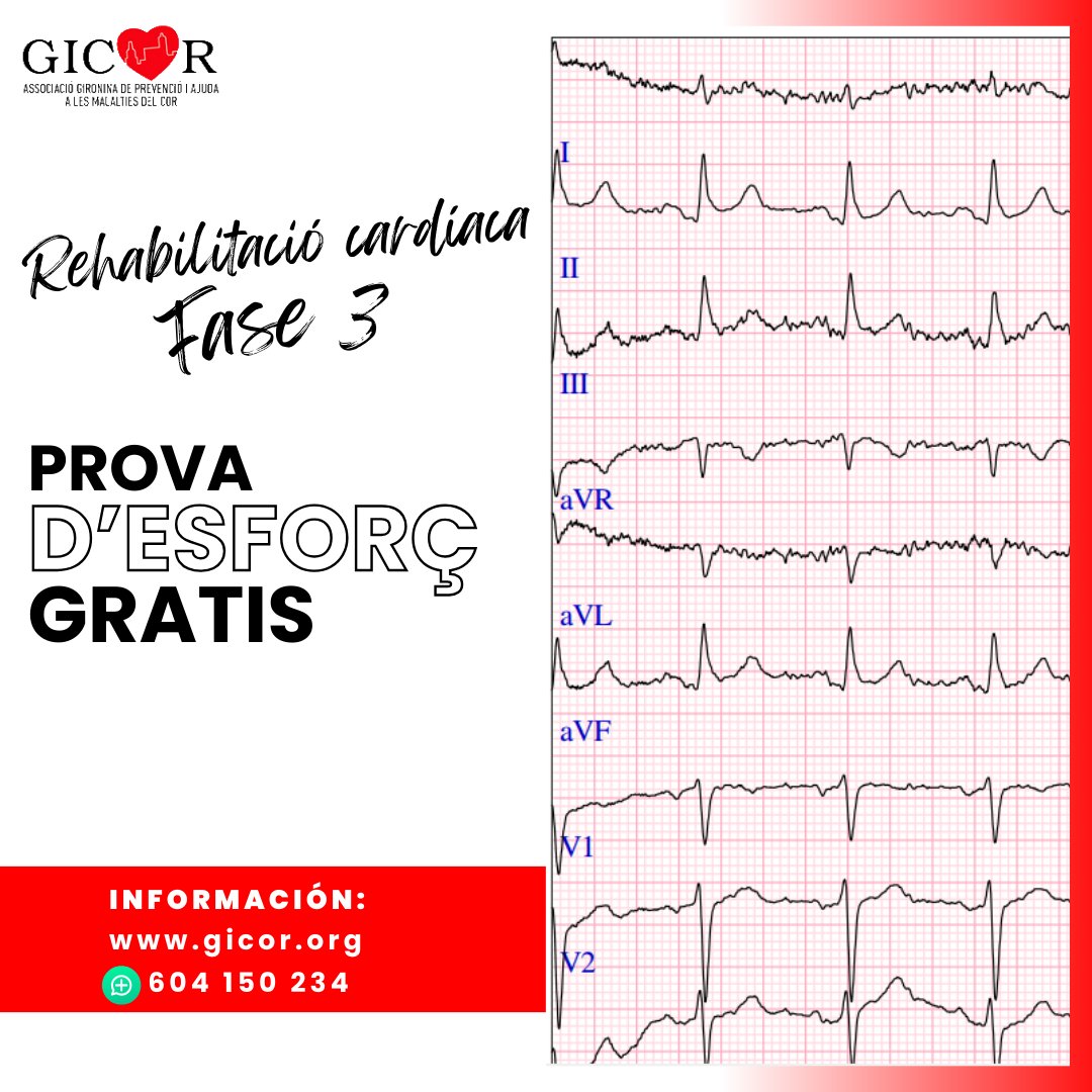 Gicor tweet media