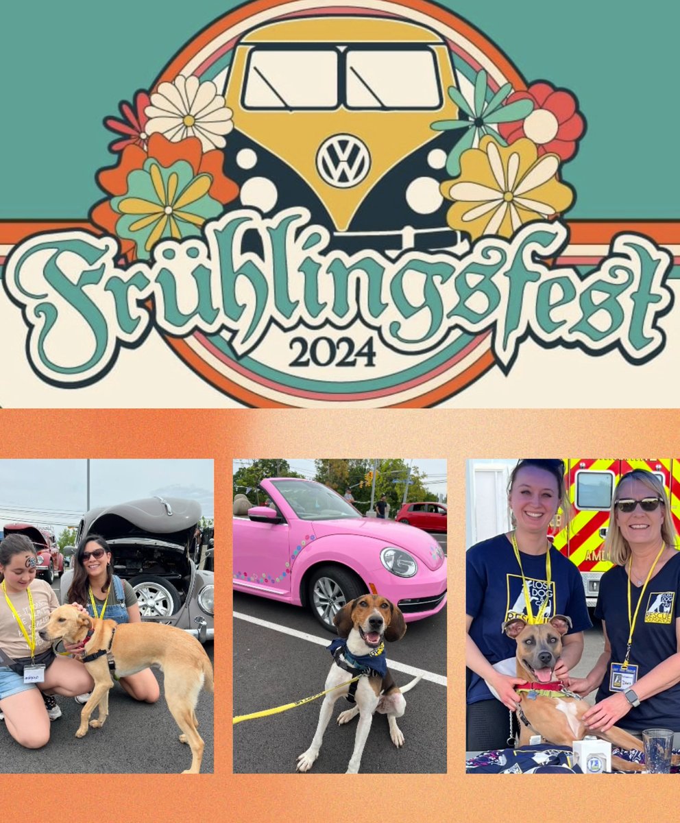 We will be hosting a special adoption event at Lindsay Cars 2nd Annual Fruhlingsfest! Don't miss out on this fun-filled event for everyone! 🎉🚗🐾 

📆 Sunday, May 19 from 12:00-3:00PM @ Lindsay Volkswagen of Manassas 

lostdogrescue.org/events/speical…