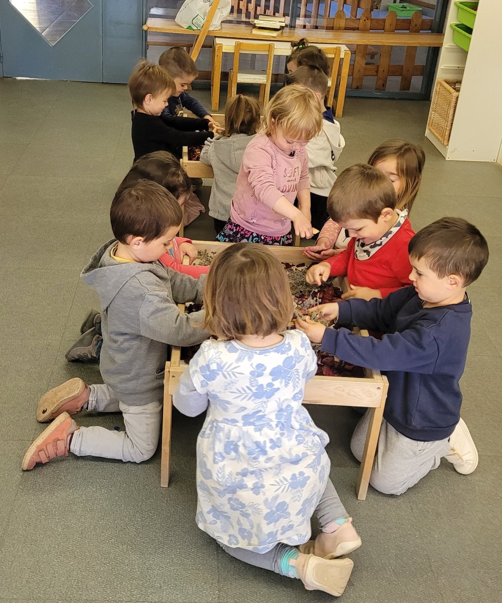 AjCastelltersol's tweet image. 🌹🌿Aprofitant l&apos;estació de la primavera i les roses de la diada de Sant Jordi hem gaudit d&apos;una experimentació amb pètals de rosa i amb farigola.

👃En acabar ens ha quedat l&apos;aula ben perfumada❗

#Espurna #escolabressol #Castellterçol