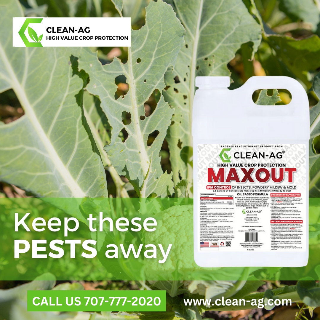 cleanaginc's tweet photo. 🚫🦟 Keep pests at bay and crops thriving with Clean-Ag's powerful yet environmentally friendly pesticide solutions. 

Bid farewell to crop concerns and welcome abundant yields with Clean-Ag's superior pesticide products and sustainable practices. 

🌐 https://t.co/TpMoyaMXTY https://t.co/b4zhweYooG