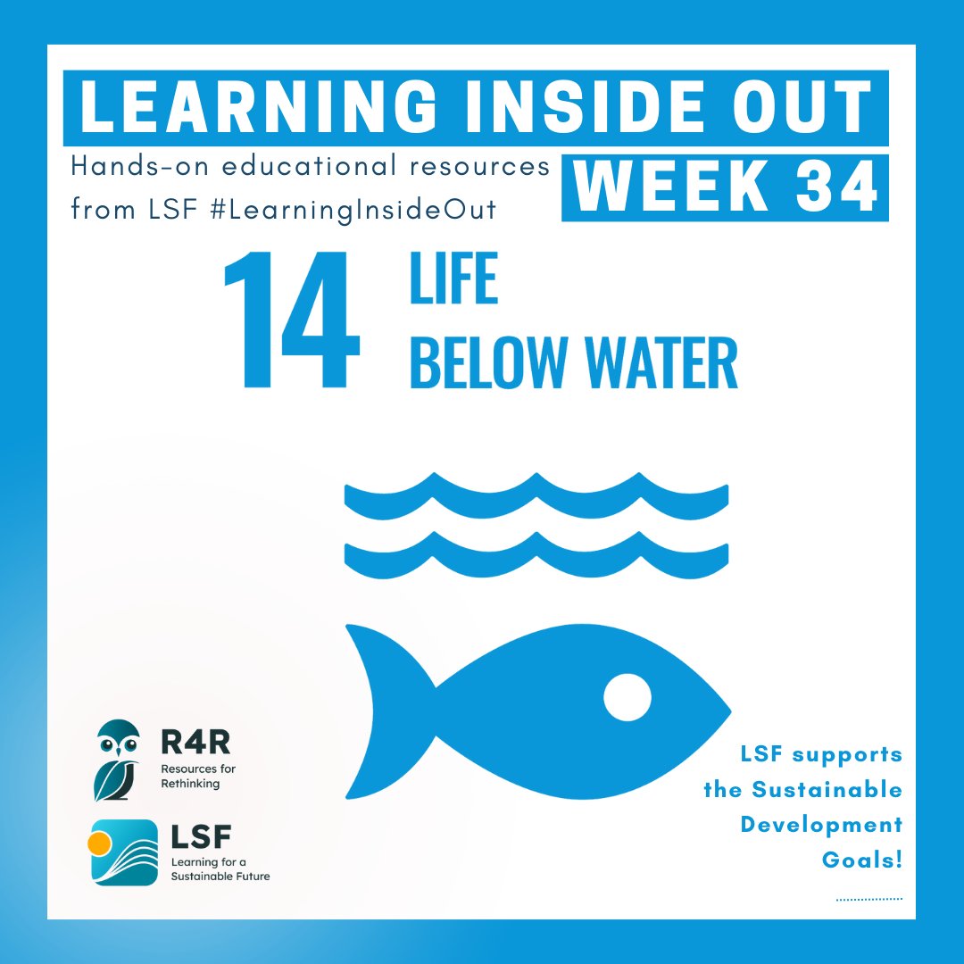 LSF_LST's tweet photo. This week's #LearningInsideOut activities highlight #UNSDG14: Life Below Water. Our interactive activities emphasize ways to reduce waste surrounding our coastal communities and protect our marine ecosystems! Check them out here: https://t.co/DnKL8Sp9ev https://t.co/DhwFOzQFhO