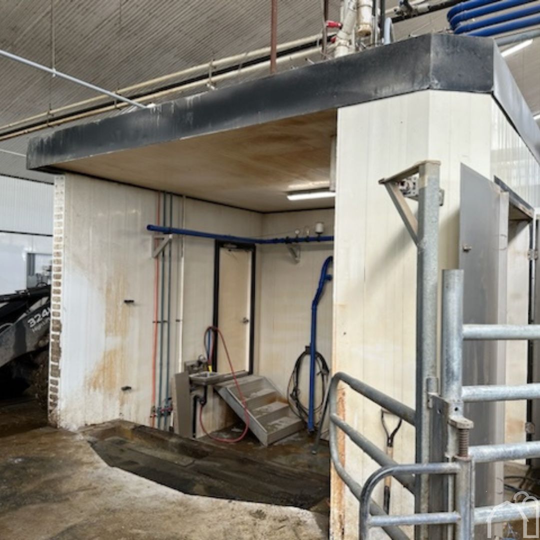 DortmansBros. tweet media