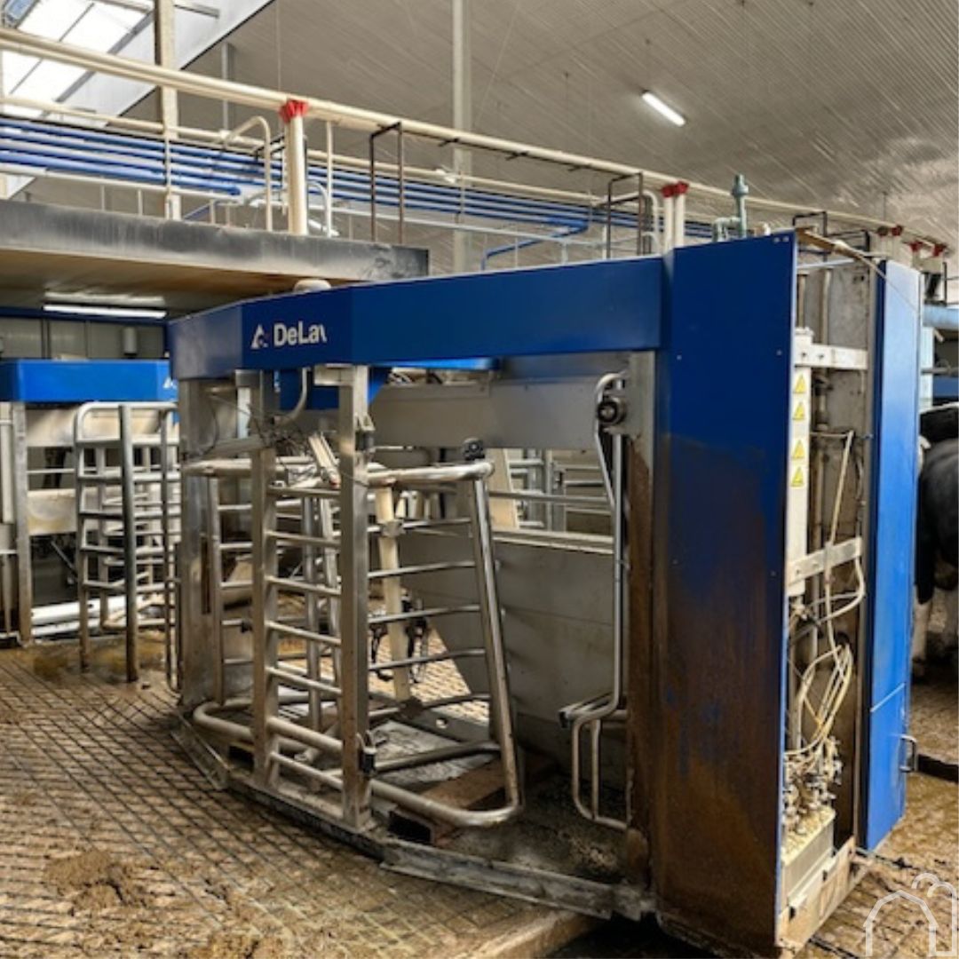 DortmansBros. tweet media