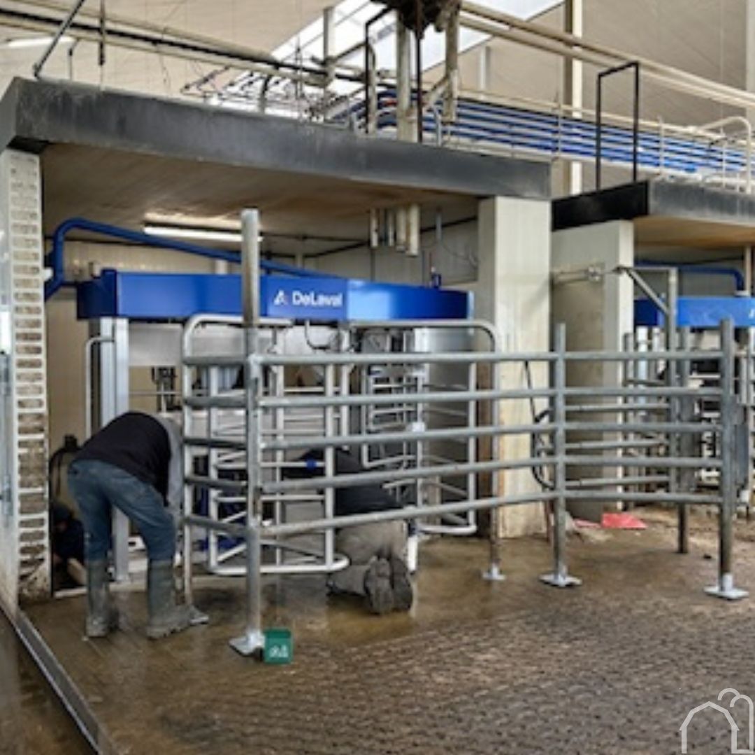 DortmansBros. (@dortmansb) on Twitter photo We are starting this week with a VMS swap out.🛠️ The robot crew will be working hard over the next couple of weeks as they change out five <a href="/DeLavalCanada/">DeLaval Canada</a> Classics for five DeLaval V310s. Stay tuned for updates.💙
#dortmansbros #DeLaval #teamblue We are starting this week with a VMS swap out.🛠️ The robot crew will be working hard over the next couple of weeks as they change out five <a href="/DeLavalCanada/">DeLaval Canada</a> Classics for five DeLaval V310s. Stay tuned for updates.💙
#dortmansbros #DeLaval #teamblue