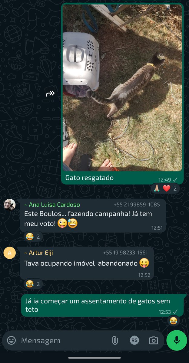 Vullcanya 🌋 tweet media