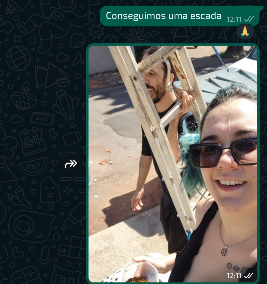 Vullcanya 🌋 tweet media