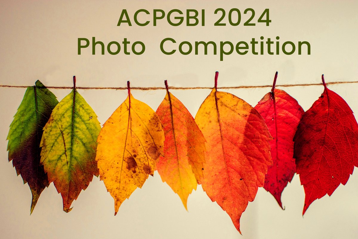 Calling all budding photographers! Enter ACPGBI's photography competition for a chance to showcase your work at the 2024 Annual Meeting. Don't miss out, submit by June 14th! 🎥bit.ly/ACPGBI_photos_…