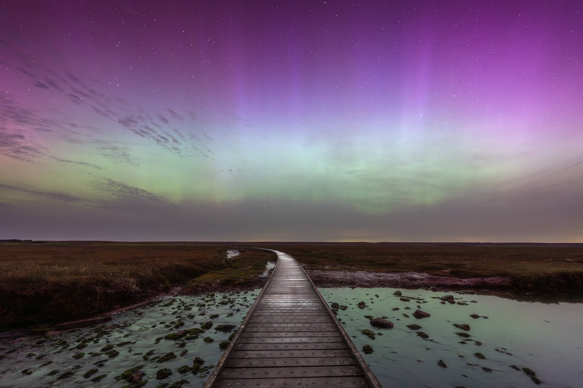Event horizon

Another from Porlock Marsh in Exmoor, from early Saturday morning