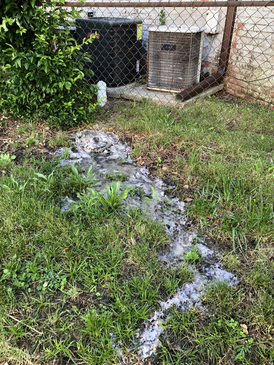 Meanwhile, in sunny @NorfolkVA, some of us continue to live two doors away from a rental property with, ahem, raw sewage issues: