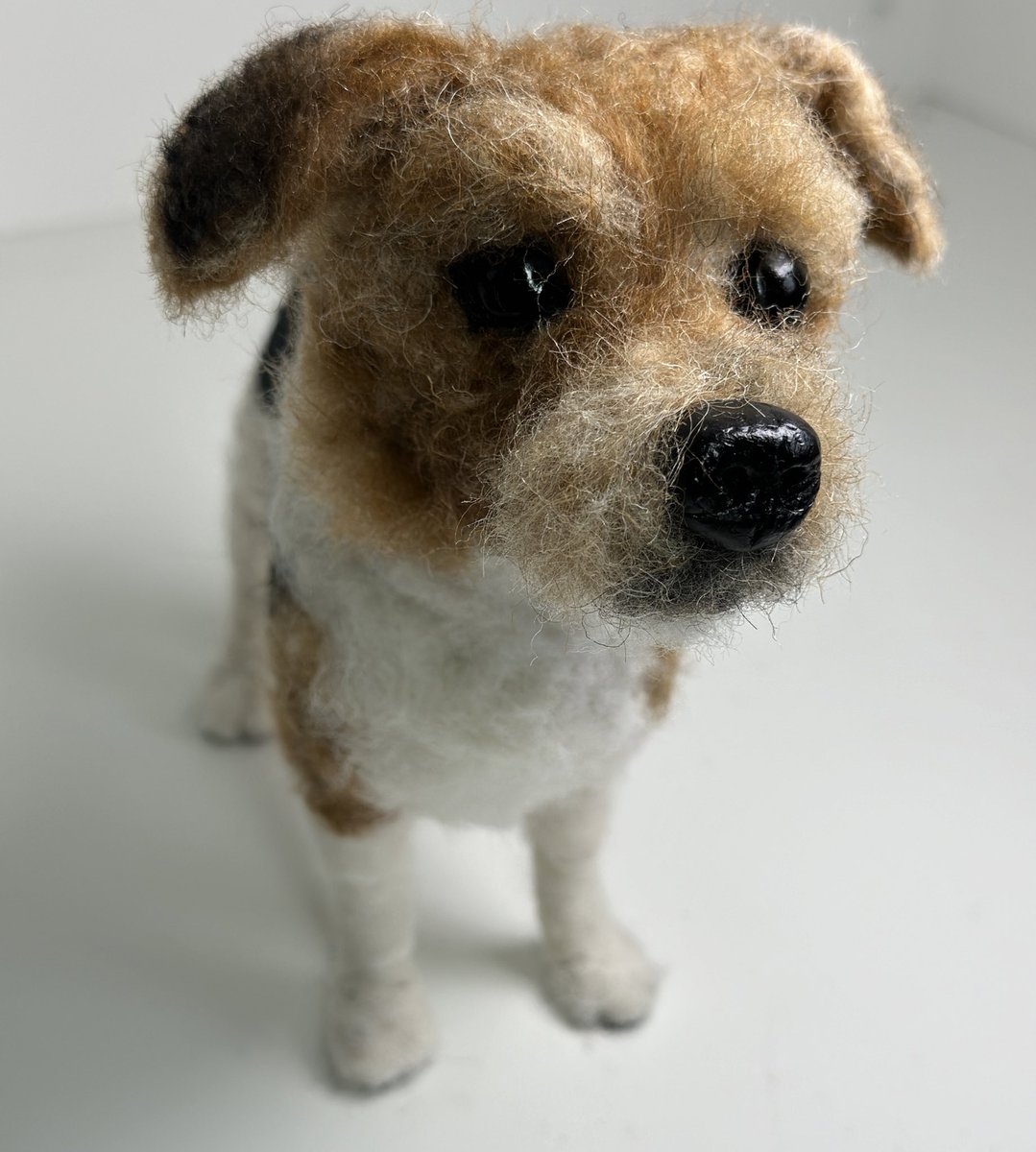 Fiona Finlayson Art tweet media