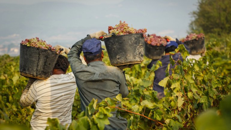 Global wine consumption has gradually declined since 2007, with recent drops led by falling interest in China, according to International Organisation of Vine and Wine’s annual report on the global wine trade in 2023. Just-drinks.com/features/the-w…