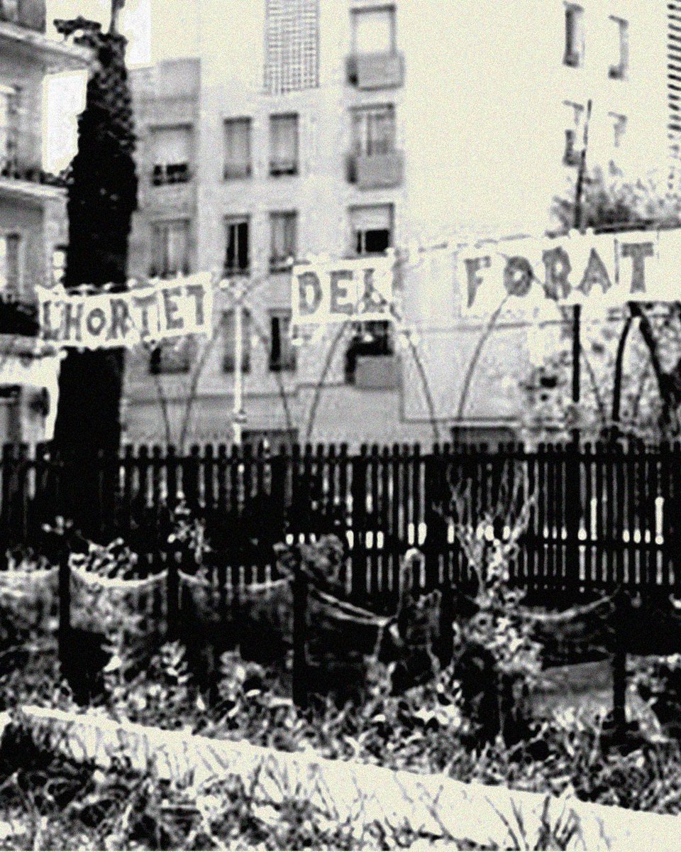 Ullal Foto Fest tweet media