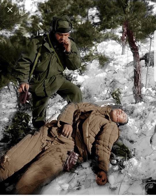 Türk askeri tarafından leş edilen Çinliler -Kore Savaşı