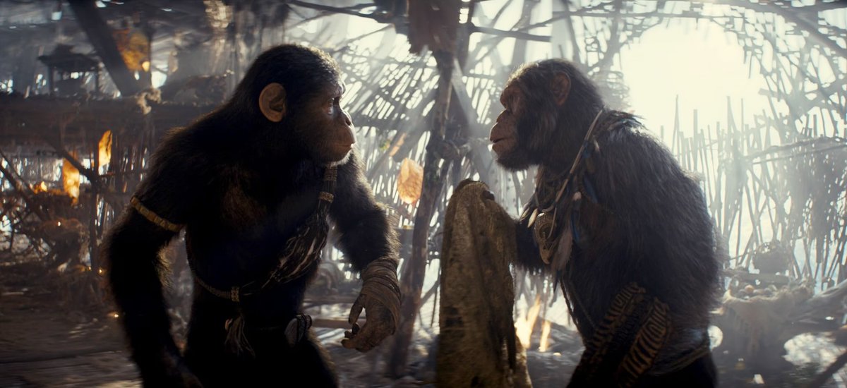 A WIN for cinema! #KingdomOfThePlanetOfTheApes