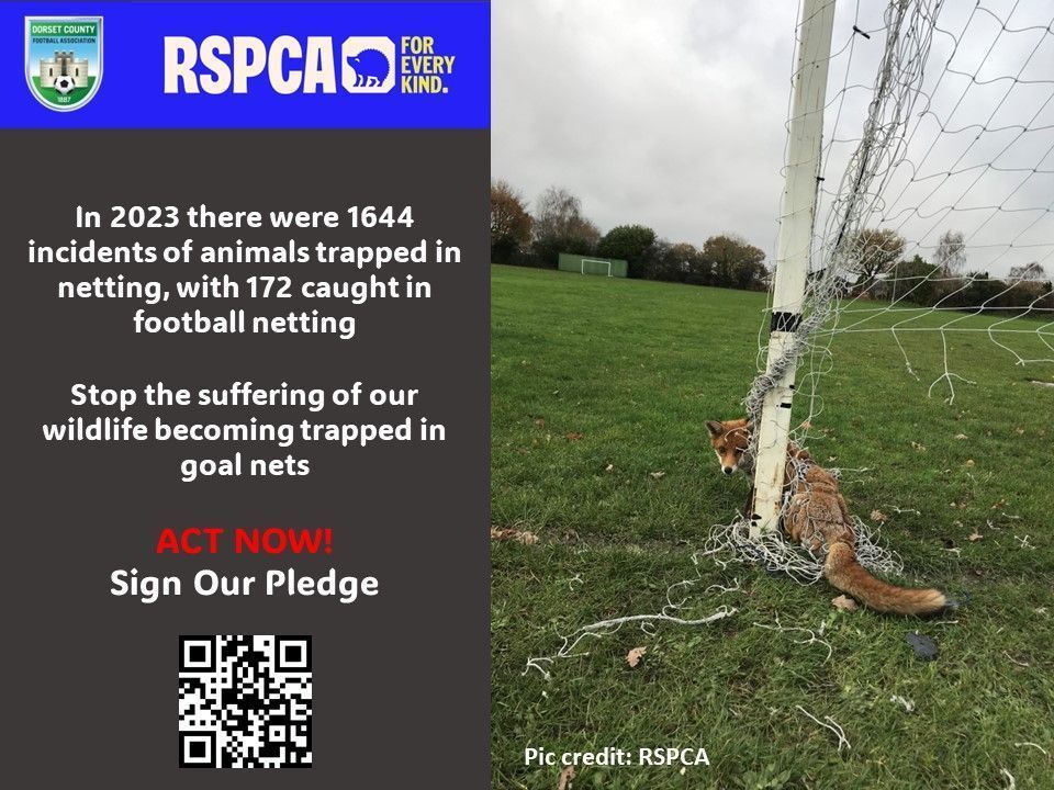 DorsetCFA's tweet photo. We're teaming up with @RSPCA_official to launch a campaign to protect our wildlife and domesticated animals from being caught in goal nets.

Pledge to:

• Remove your nets after each game
• Roll up and secure nets
• Dispose of old netting safely

👉 https://t.co/DWaVOyKPoy https://t.co/165D1XMu12