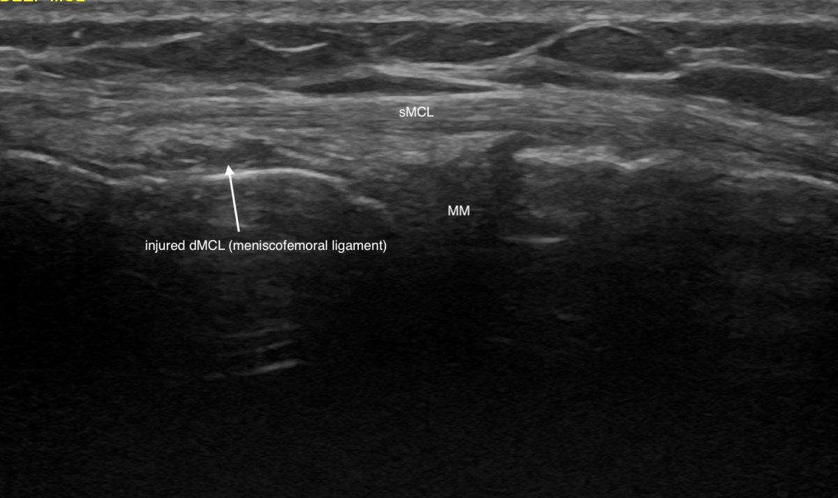 James Noake tweet media