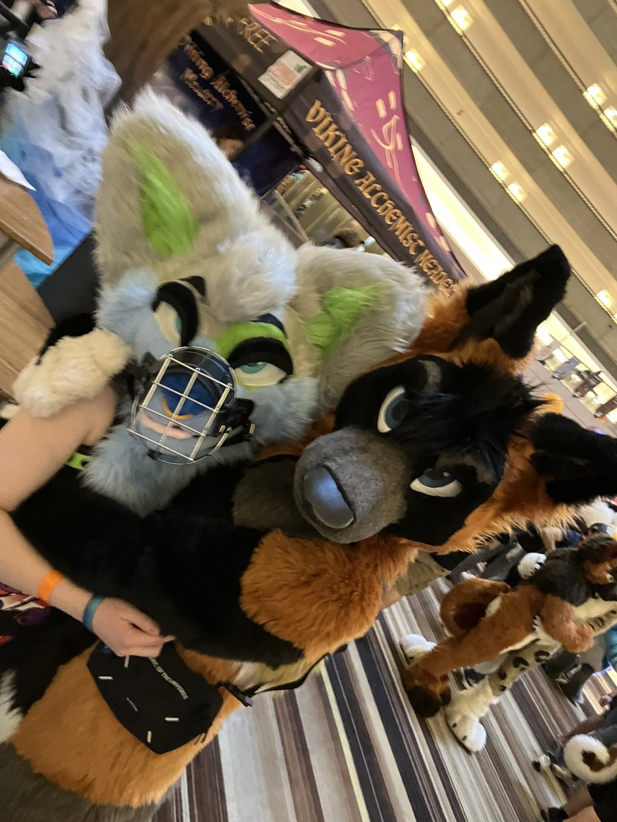 DeckerCrossFox's tweet image. A caged creature @Remixwuffy