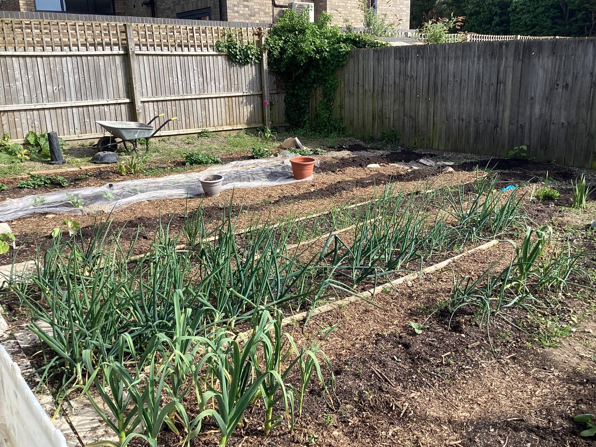 Fulbourn Primary School tweet media