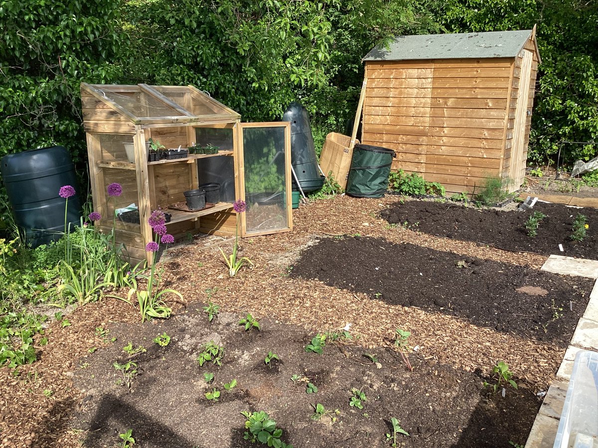 Fulbourn Primary School tweet media