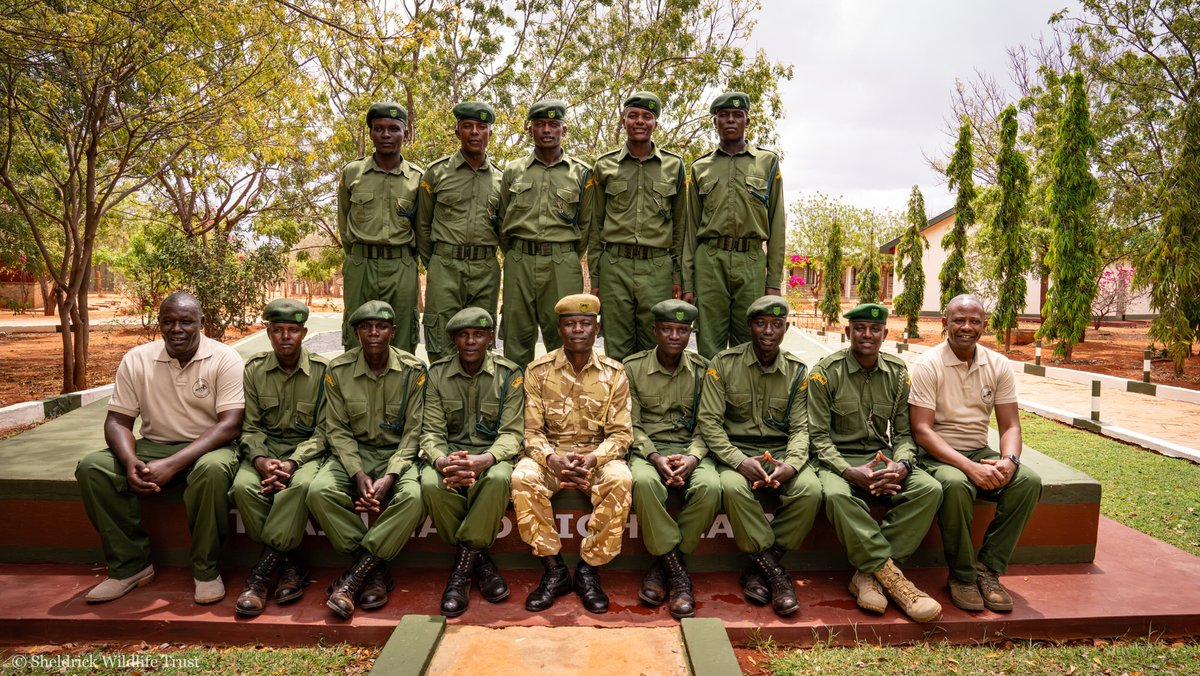 #DidYouKnow each of our rangers enters the field with extensive paramilitary training gained at the KWS Manyani Academy? Our latest group graduated in Nov 2023 & have since been putting their newly honed skills to use in pursuit of wildlife conservation! sheldrickwildlifetrust.org/news/updates/s…