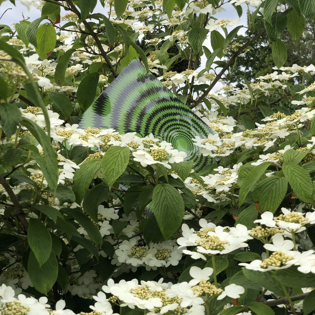 We just want to remind you that preorder for Sknit's "Loop" EP on Limited 10" Vinyl is still alive. You can grab it here: polishjuke.bandcamp.com/album/loop-ep

Release date for full EP is set on May 17 on Bandcamp. The EP will be also available on all streaming services on June 14👊