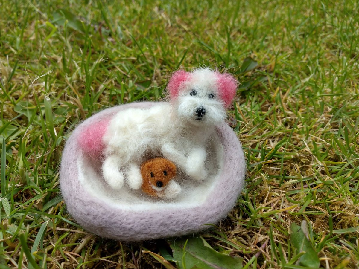 fafferoffluff's tweet photo. 💕 Monday Memories 💕
Mini Molsey from May 2019.
#fafferoffluff #miniaturemaker #miniaturedog #caninecompanions #handmaduk #slowmade #needlefeltartist #fibreart #consciouscrafties #talentbeyondchallenges #shropshire #consciouscrafties #pcg #mondaymemories #bolognesedog https://t.co/ClQpRCpuh3