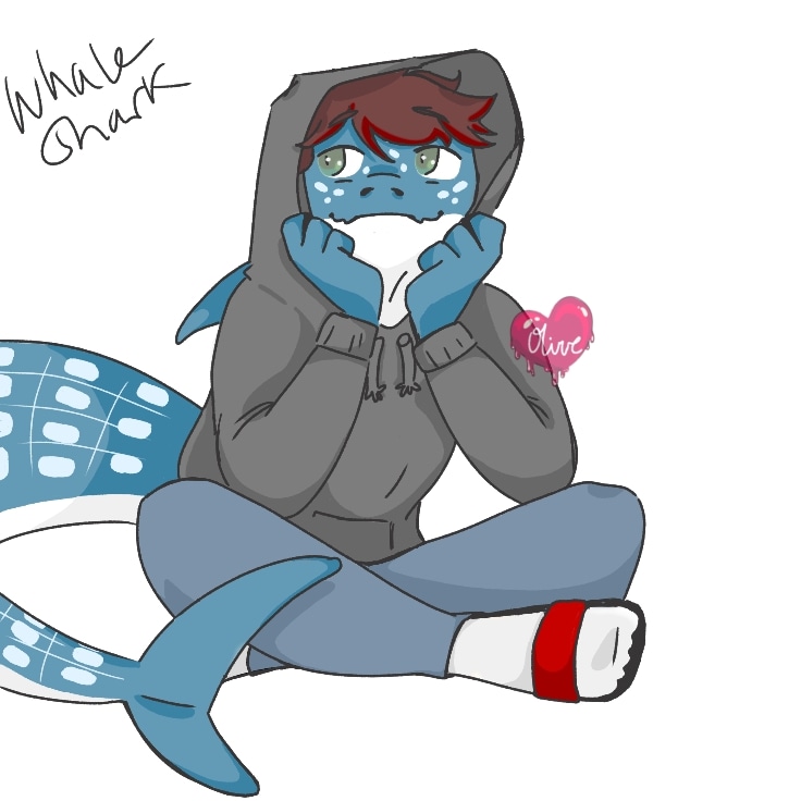 Oliver_Branch04's tweet photo. Shark number 2!! This is my bfs shark-sona, it is favorite shark the Whale Shark! It's so adorableeee!

Up next is shark number 3 for my bestie, check back to see what shark it is👀 

#sharksona #shark #furry #fursona #art #digitalart #digitalartist #commission #commissionopen https://t.co/UFhcy9C1Yh