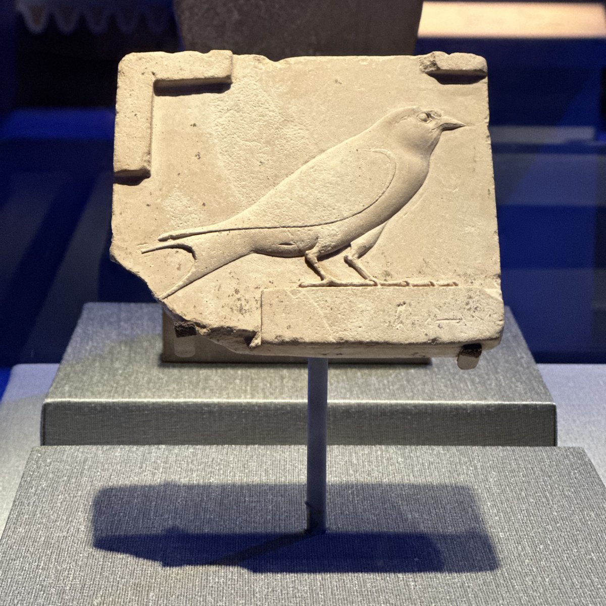 This swallow hieroglyph had the sound value 'wer', and was used to write the word 'great'. Free-standing sculptors' models of signs of parts of the body were circulated to establish standard style and proportions throughout a project. Ptolemaic Period, 332-30 BC