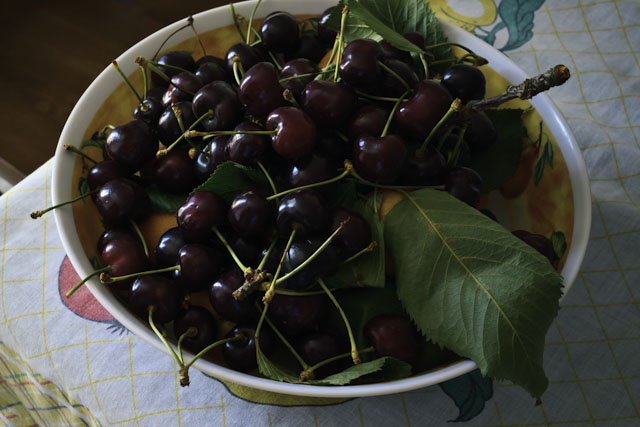 Apulian cherries. #photography #FoodieBeauty #fruitsbasket #cherrypicking #delicious