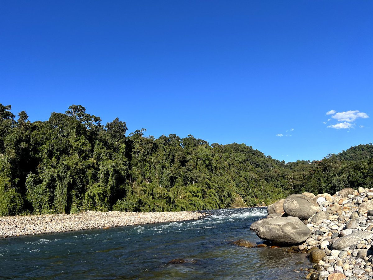 Serene Namdapha 😊

#namdapha 
#NamdaphaNationalPark