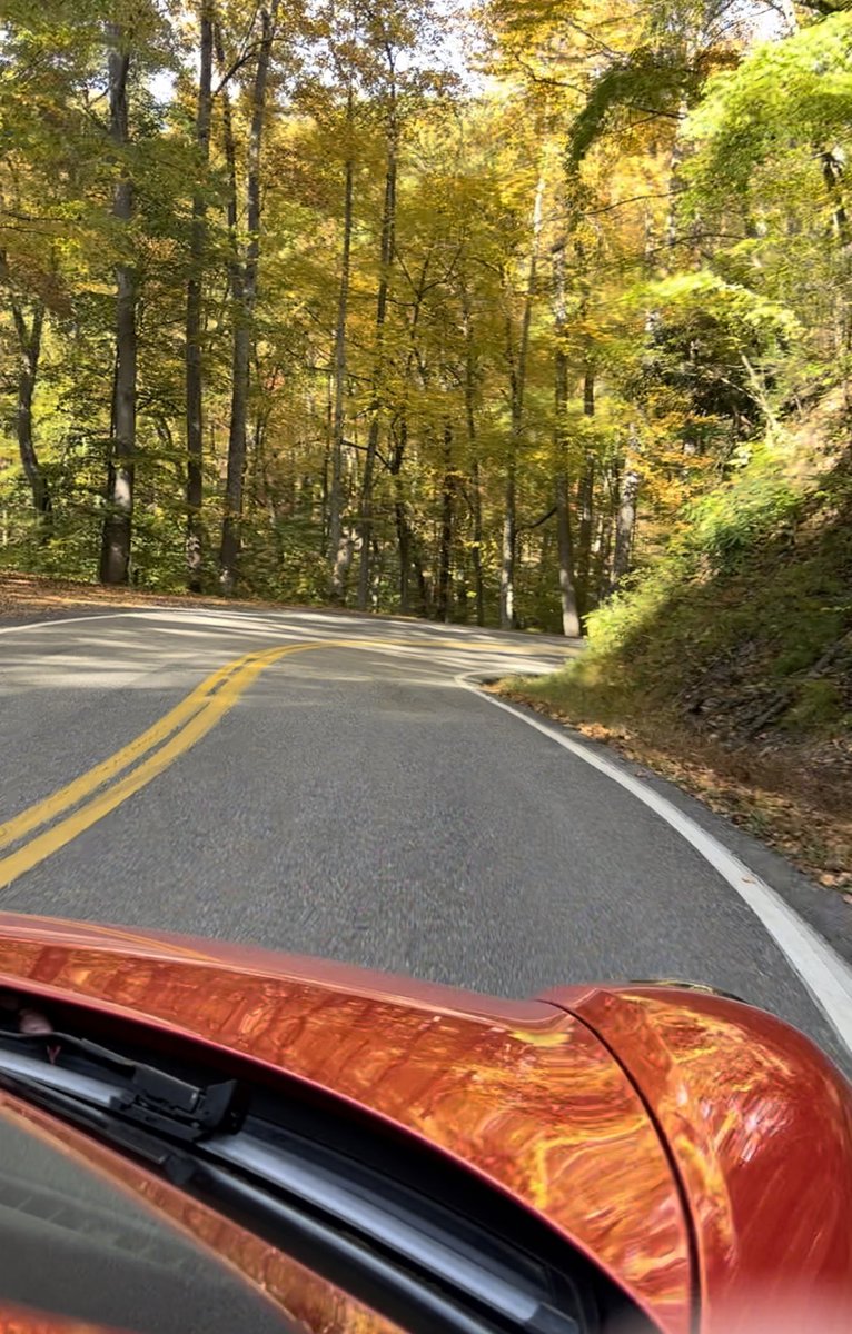 Sonpca's tweet photo. Register for our June Tech Session at Porsche Mobile!

This is a planned moving car event with the service team at Porsche Mobile followed by a drive to Bozo’s Seafood Market in Pascagoula MS for lunch.www.https://t.co/IY7hFLEZdP https://t.co/hqJ15nQoPe