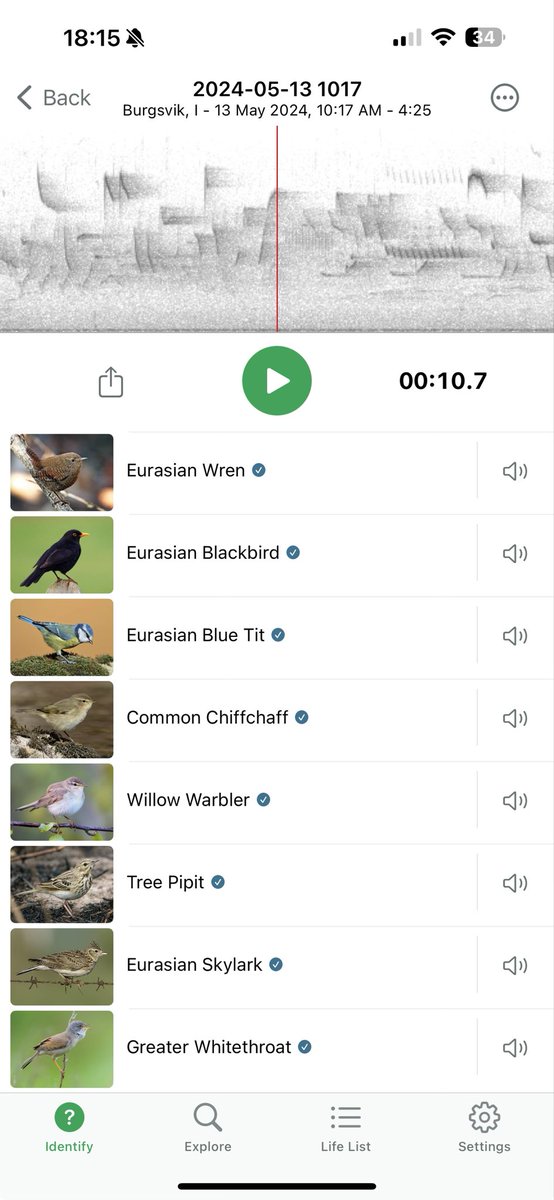 Gotland Blåmes tweet media
