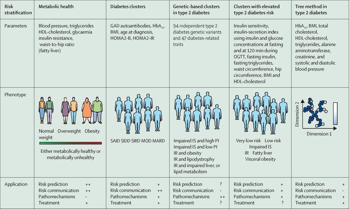 Among 20 leading risk factors for years of life lost in 2040, reference forecasts point to 3 metabolic risks—high blood pressure, high BMI & high fasting plasma glucose—as top risk variables.

Find out more in a @TheLancetEndo Review: hubs.li/Q02wZNKt0