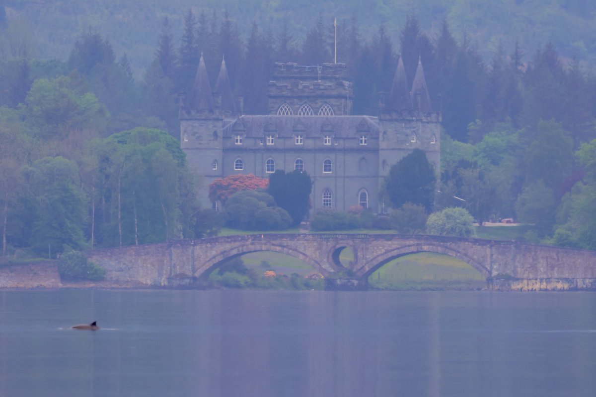 Michael Cuthbert Photography tweet media