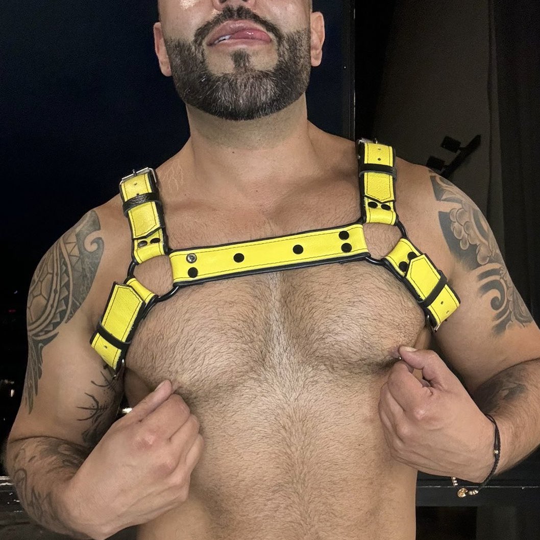 Diegomoar's tweet photo. Sexy y lujoso, así te hacemos sentir con nuestras prendas facturadas con la máxima calidad. 

Atrévete a vivir una nueva experiencia cada día! 

#arnesesdm
#leather 
#arnes https://t.co/EfNgY1A27A