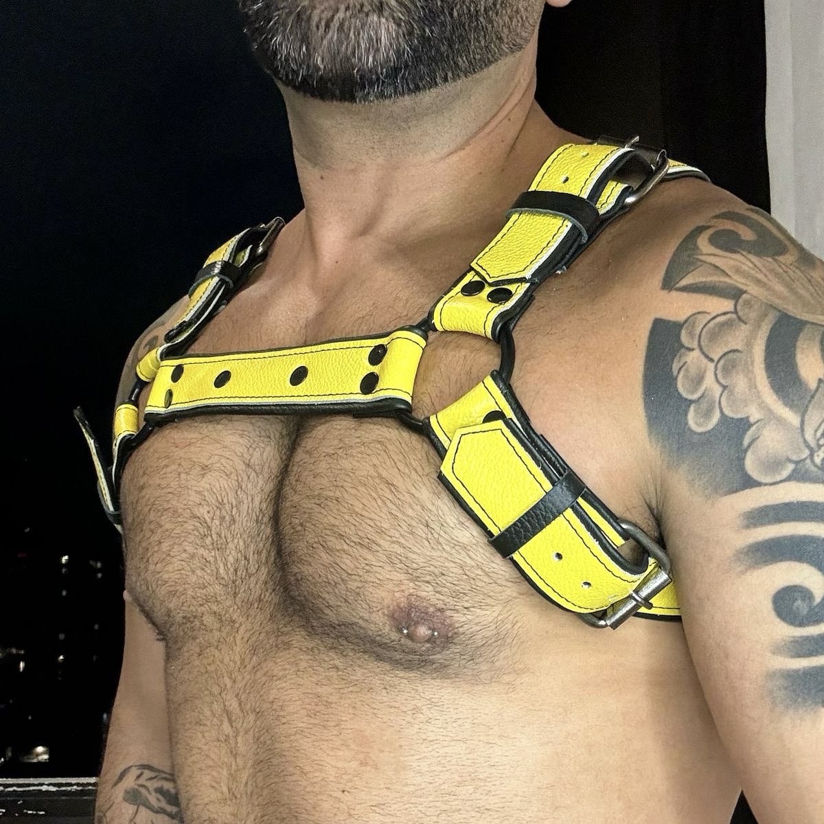 Diegomoar's tweet photo. Sexy y lujoso, así te hacemos sentir con nuestras prendas facturadas con la máxima calidad. 

Atrévete a vivir una nueva experiencia cada día! 

#arnesesdm
#leather 
#arnes https://t.co/EfNgY1A27A