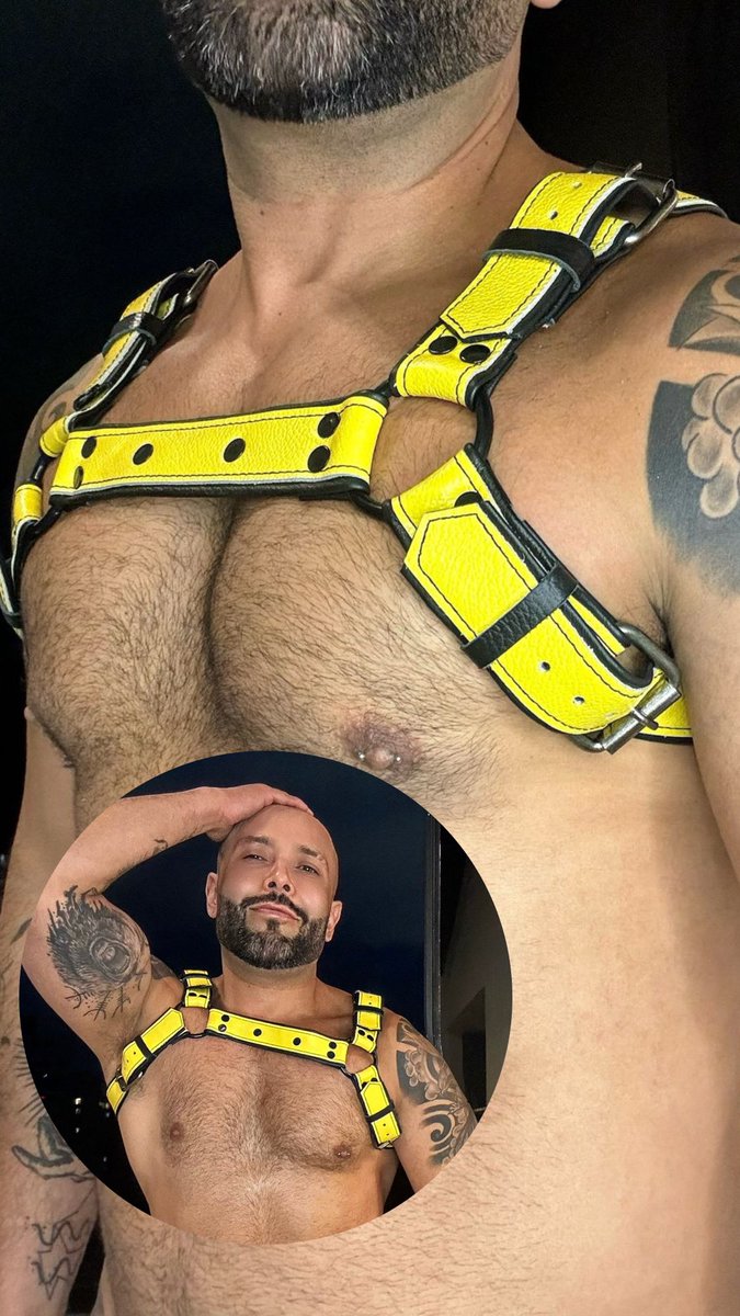 Diegomoar's tweet photo. Sexy y lujoso, así te hacemos sentir con nuestras prendas facturadas con la máxima calidad. 

Atrévete a vivir una nueva experiencia cada día! 

#arnesesdm
#leather 
#arnes https://t.co/EfNgY1A27A