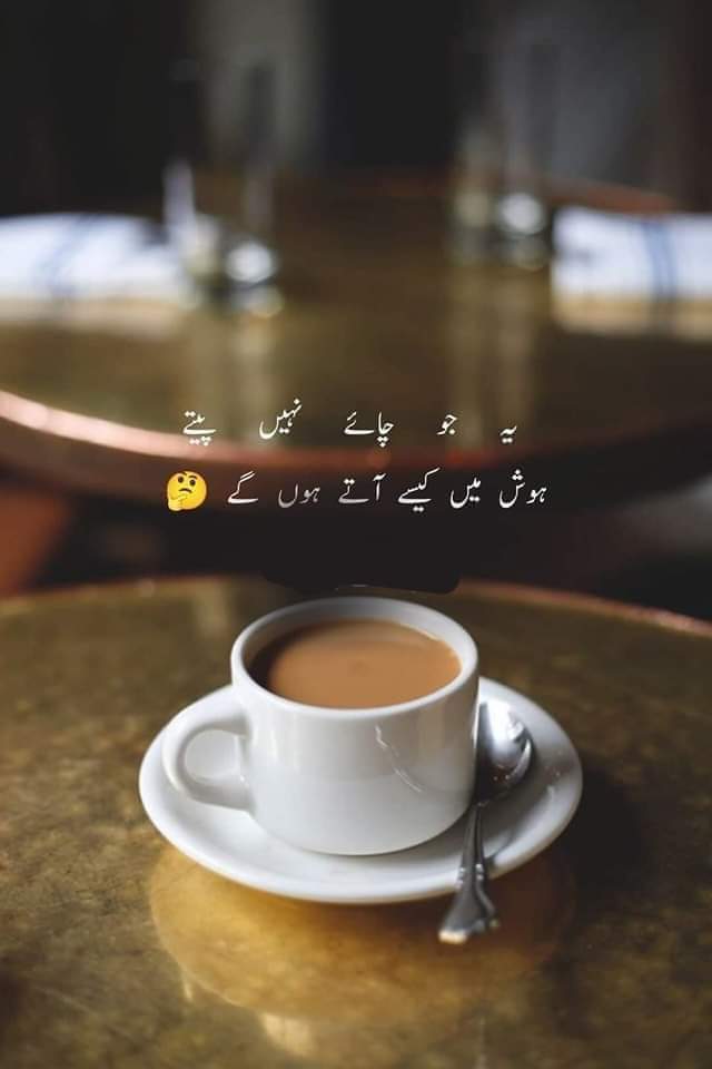 چائے خانہ

یہ جو چائے نہیں پیتے ہوش میں کیسے آتے ہوں گے

😔🌹