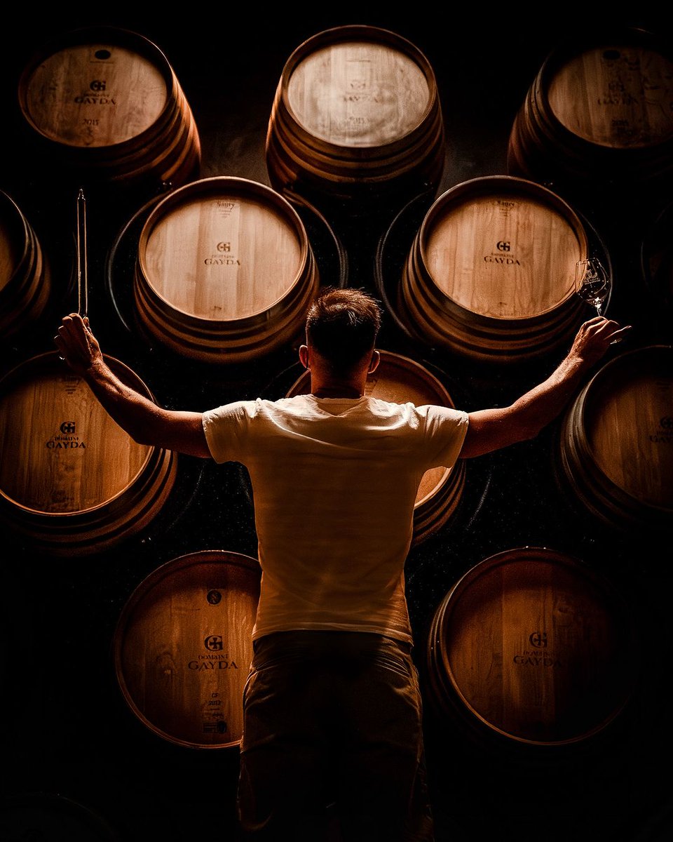 Unlock the potential of Pays d'Oc IGP wines with insights from the top merchants. See why these wines offer so much more than just great taste. 
vist.ly/x6ez

✍️ <a href="/TheBuyer11/">The_Buyer</a>

#WineDiscovery #PaysdOcIGP #FrenchWines #SouthofFrance #GoodWineBuy #WineInsight