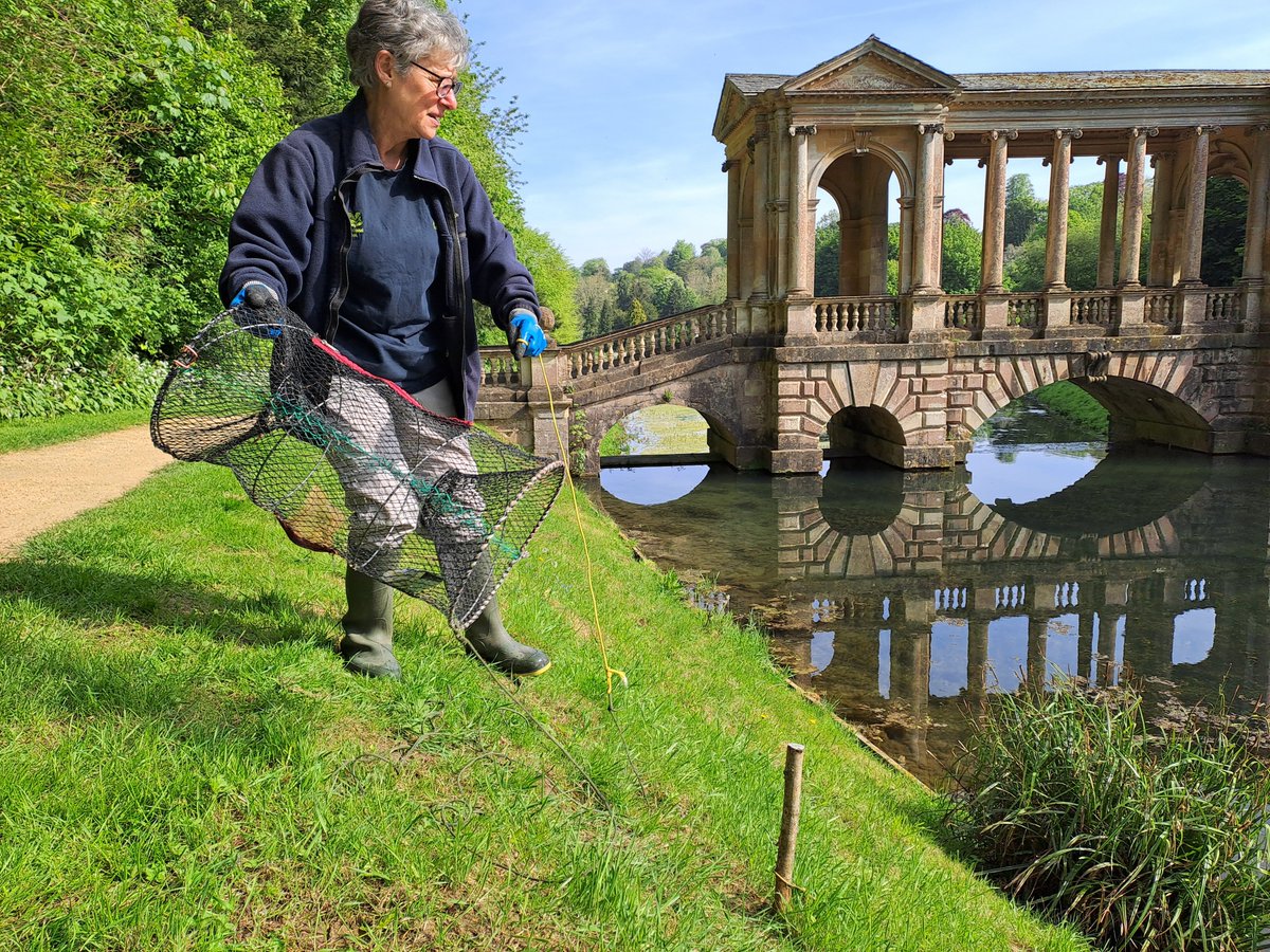 NTinBath's tweet photo. Next week is #InvasiveSpeciesWeek. Thu 23 - Sat 25 #PriorPark's crayfish team will be providing daily guided walks. Learn about the dams restoration project and how the American signal crayfish played a part.
Book your free spot: https://t.co/mLcfwe7w5Q. Normal admission applies. https://t.co/Fu8eeeuFFa