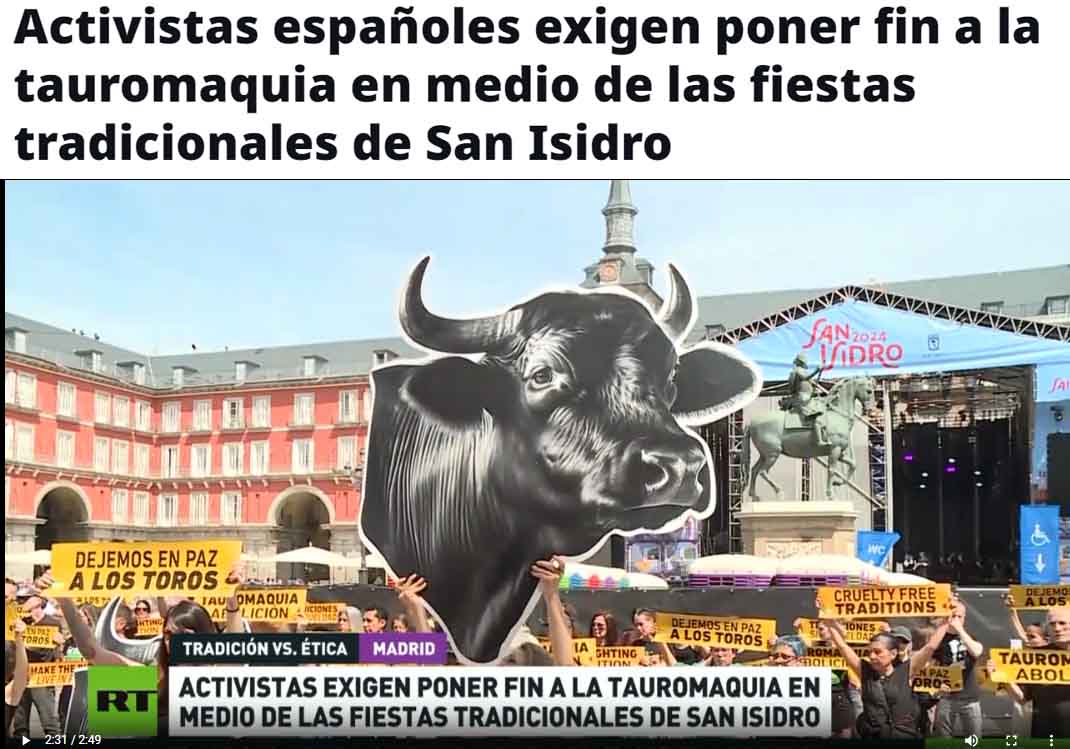 Activistas españoles exigen poner fin a la tauromaquia en medio de las fiestas tradicionales de San Isidro
